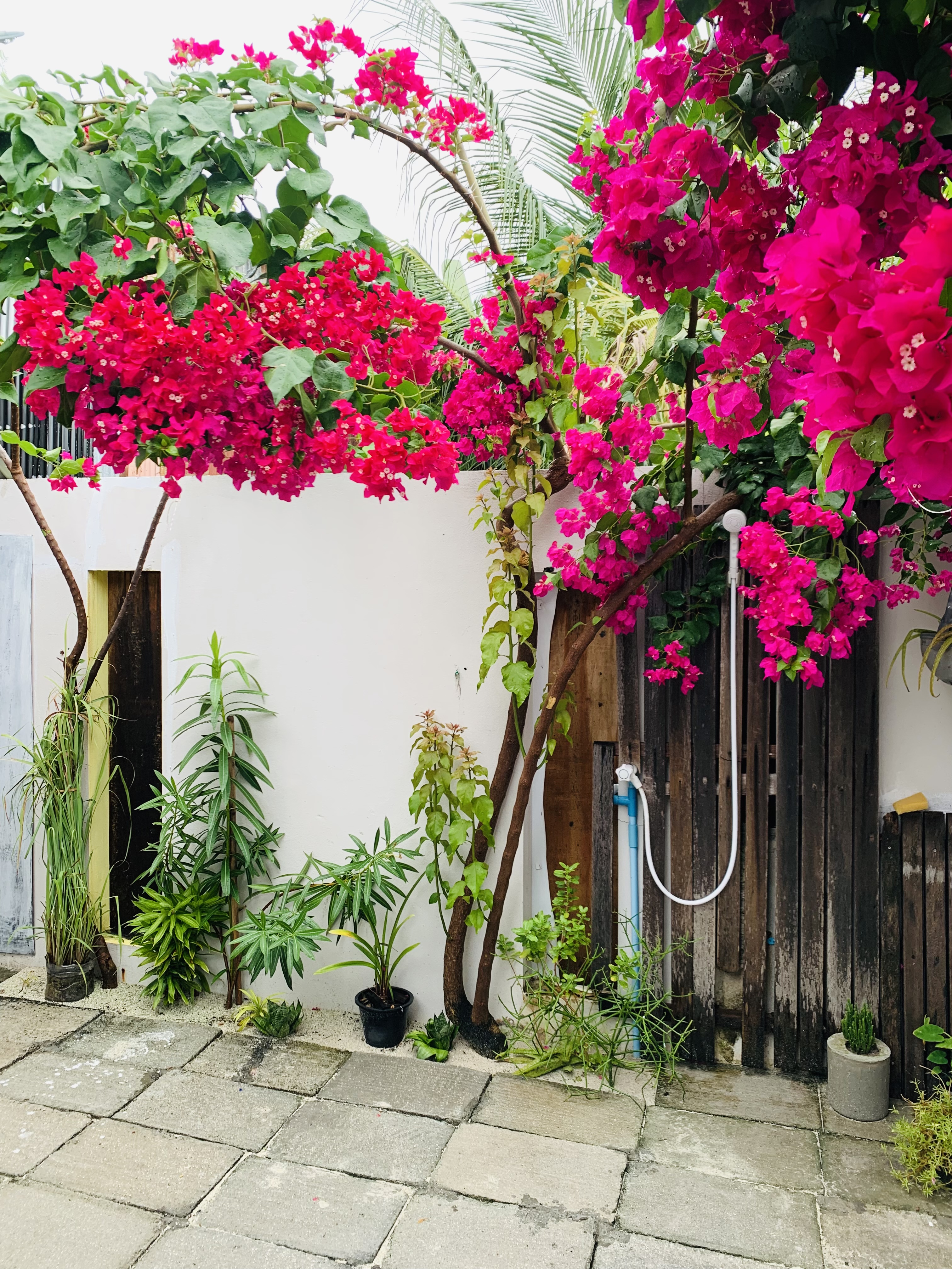 Hotels in Rasdhoo