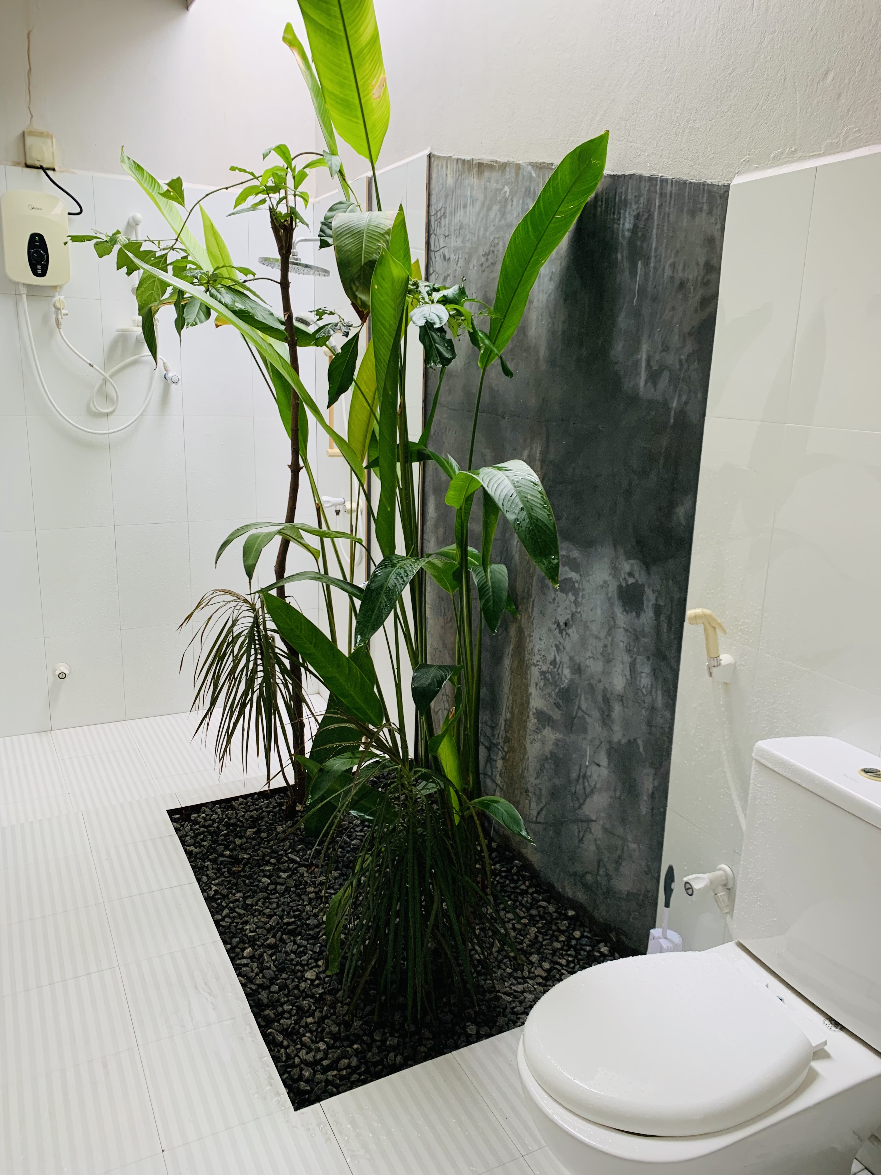 Hotels in Rasdhoo
