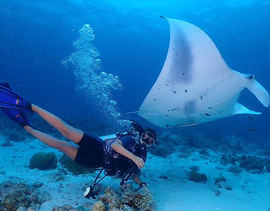 rasdhoo divers