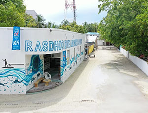 Image 4